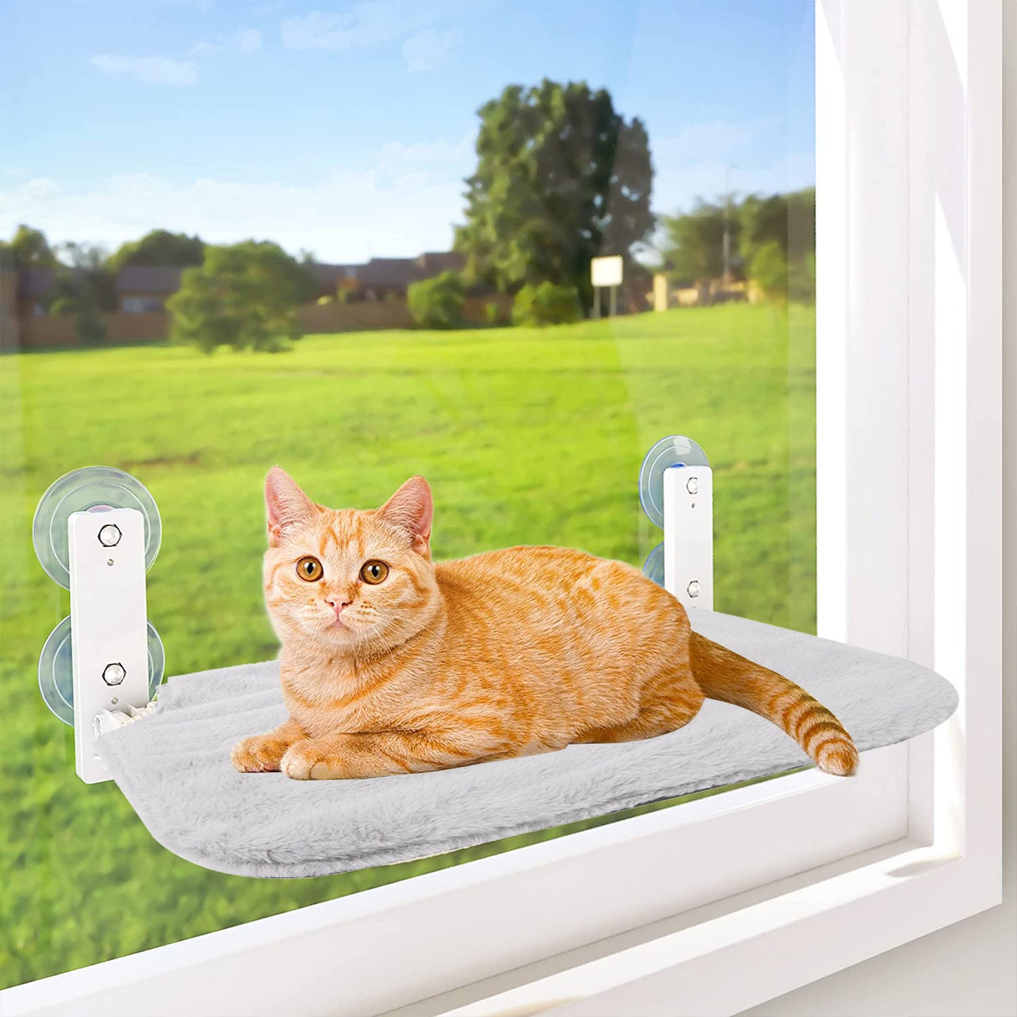 Window-Mounted Cat Hammock with Plush Cushion
