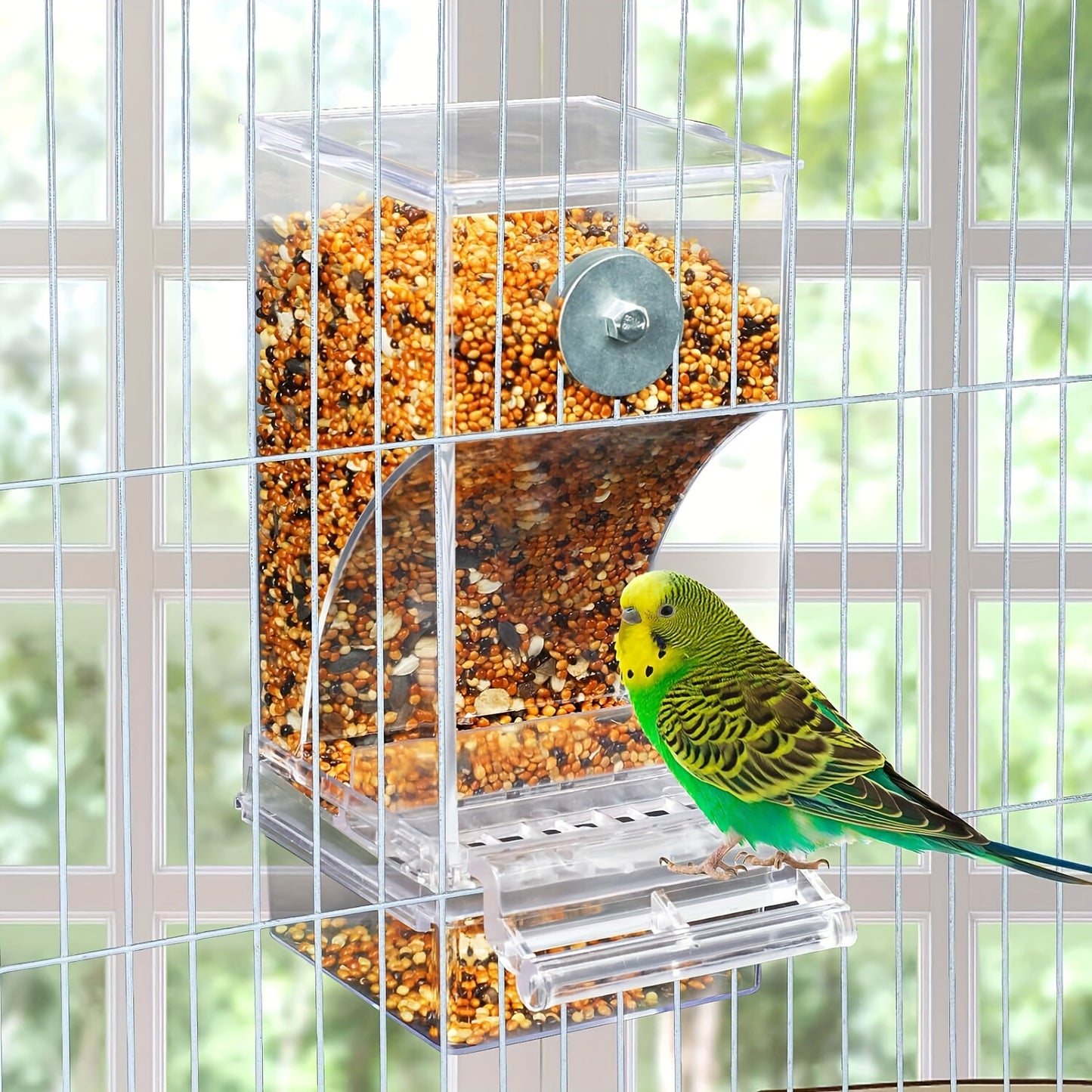 Clear Acrylic Bird Feeder for Small and Medium Birds
