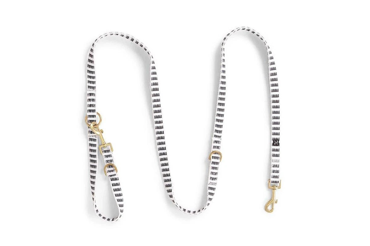 Hemp Dog Lead – Brush Stroke