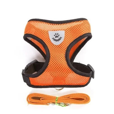 Breathable Cat Harness & Leash Set – S to XL