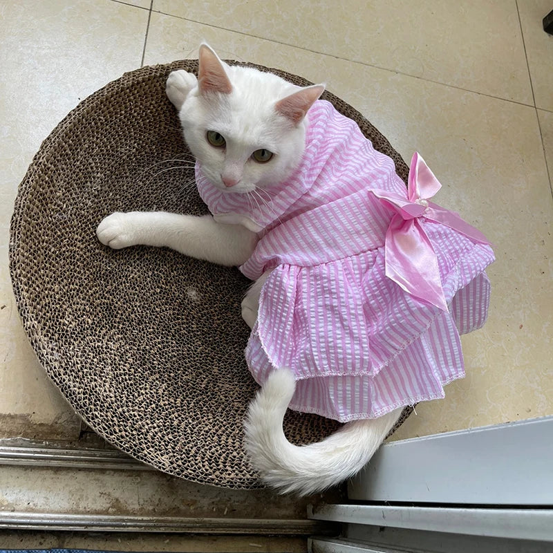 Pet Clothes - Multi variant Cat Dresses