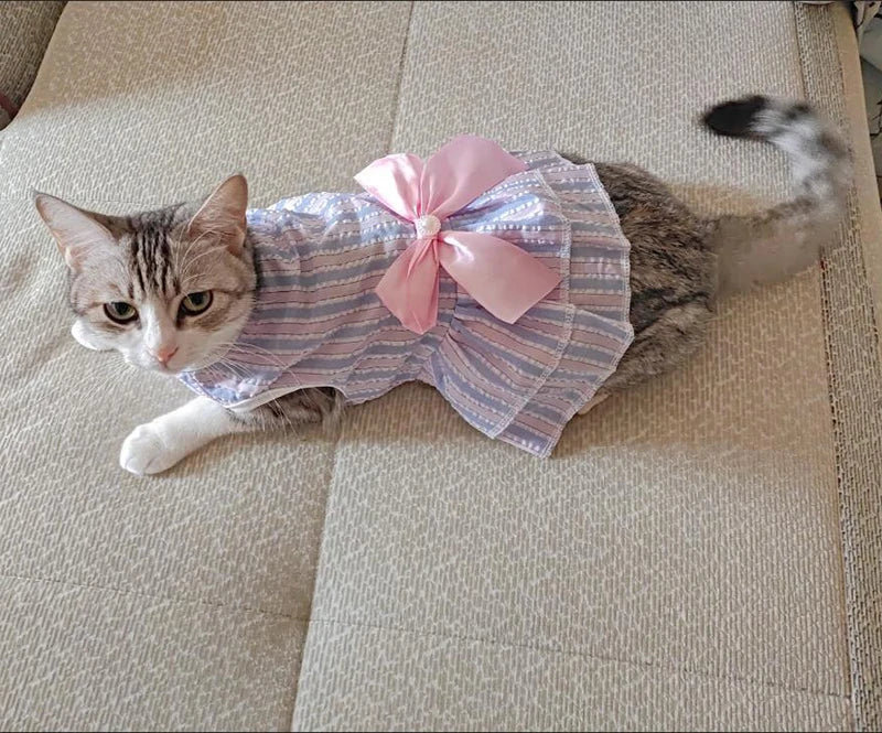 Pet Clothes - Multi variant Cat Dresses