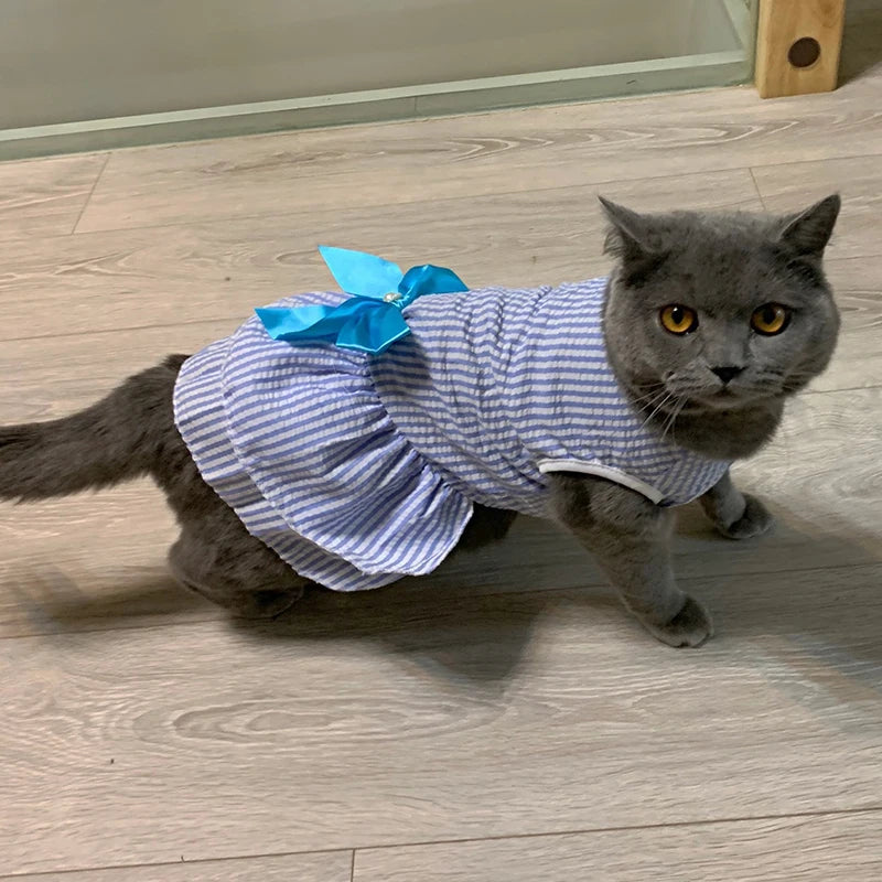 Pet Clothes - Multi variant Cat Dresses