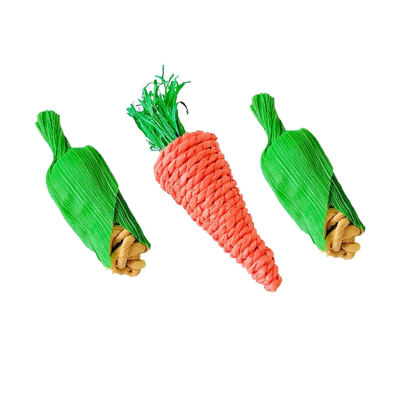 Carrot-Themed Bird Chew Toy – 2 Fun Variants for Foraging & Beak Health