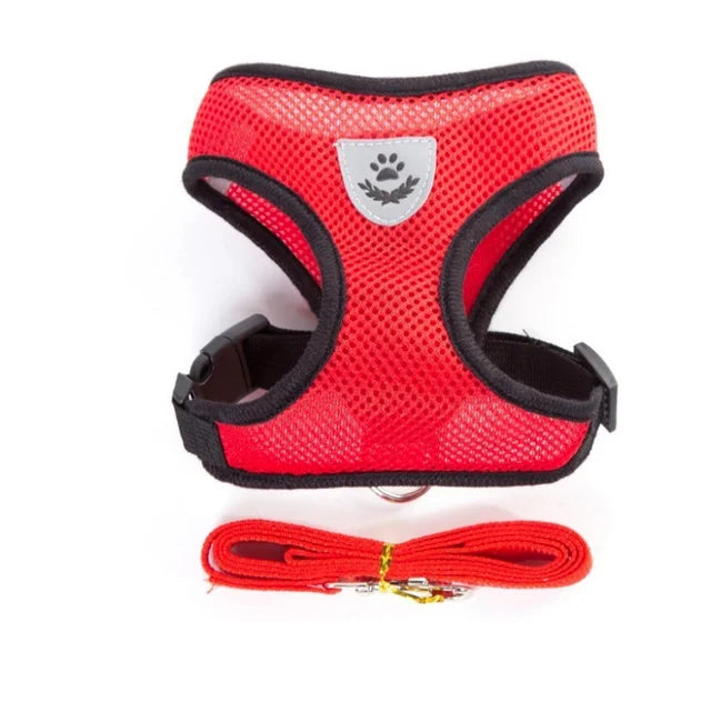 Breathable Cat Harness & Leash Set – S to XL