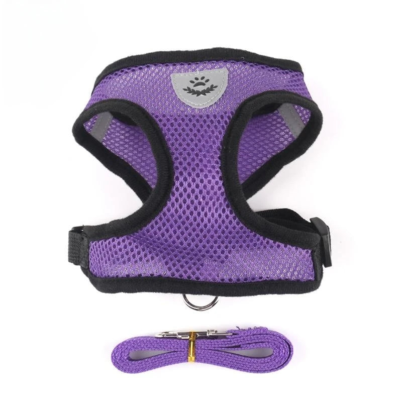 Breathable Cat Harness & Leash Set – S to XL