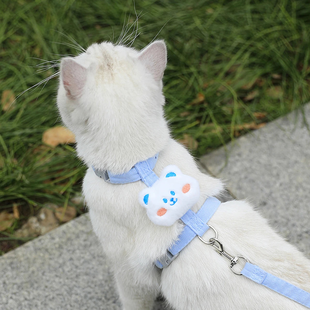 Floral Cat Harness & Leash Set – Lightweight & Adorable