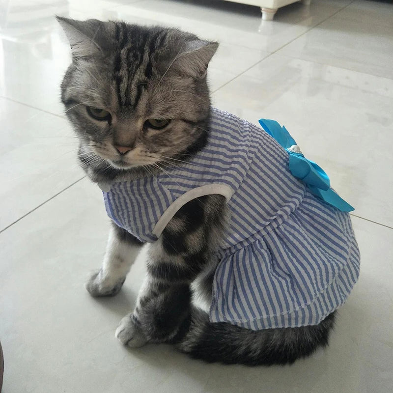Pet Clothes - Multi variant Cat Dresses