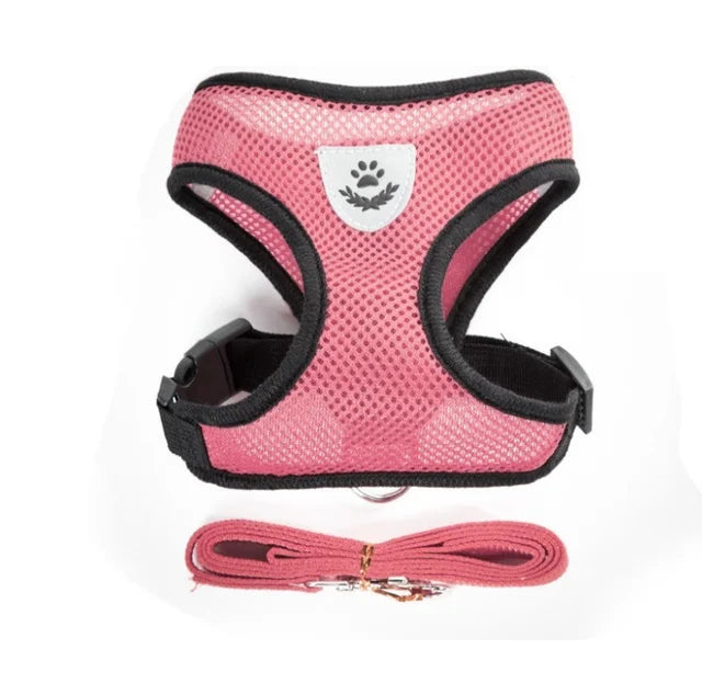 Breathable Cat Harness & Leash Set – S to XL