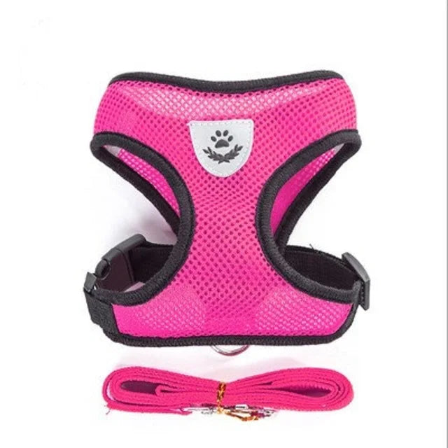 Breathable Cat Harness & Leash Set – S to XL