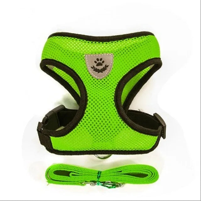 Breathable Cat Harness & Leash Set – S to XL