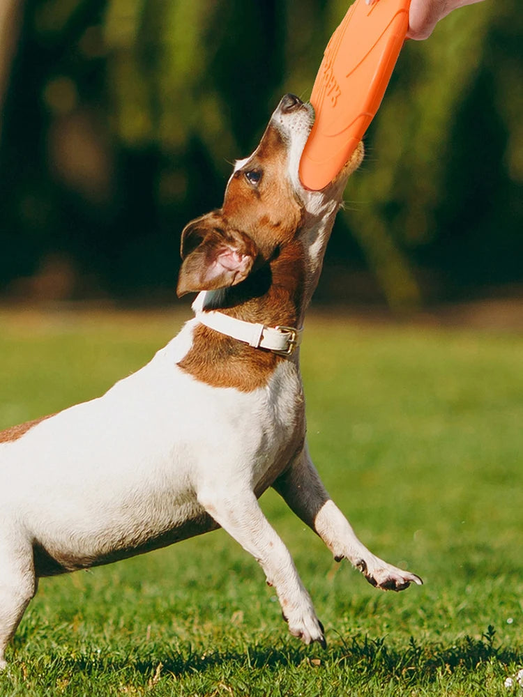 Dog-O-Soar Flying Disc – 22cm Soft Rubber Dog Frisbee