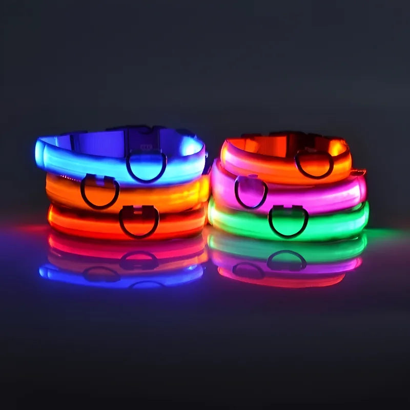 Dog Collar - LED Night Safety Collar