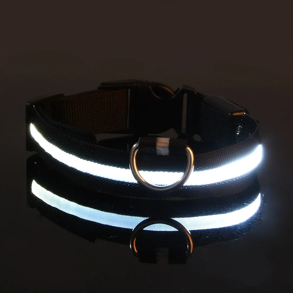 Dog Collar - LED Night Safety Collar