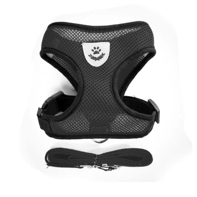 Breathable Cat Harness & Leash Set – S to XL