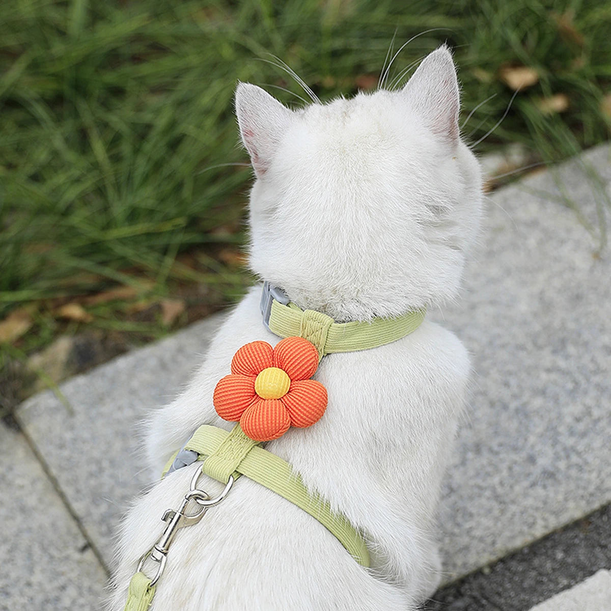 Floral Cat Harness & Leash Set – Lightweight & Adorable