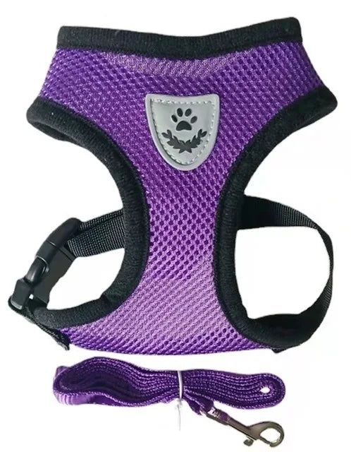 Breathable Cat Harness & Leash Set – S to XL