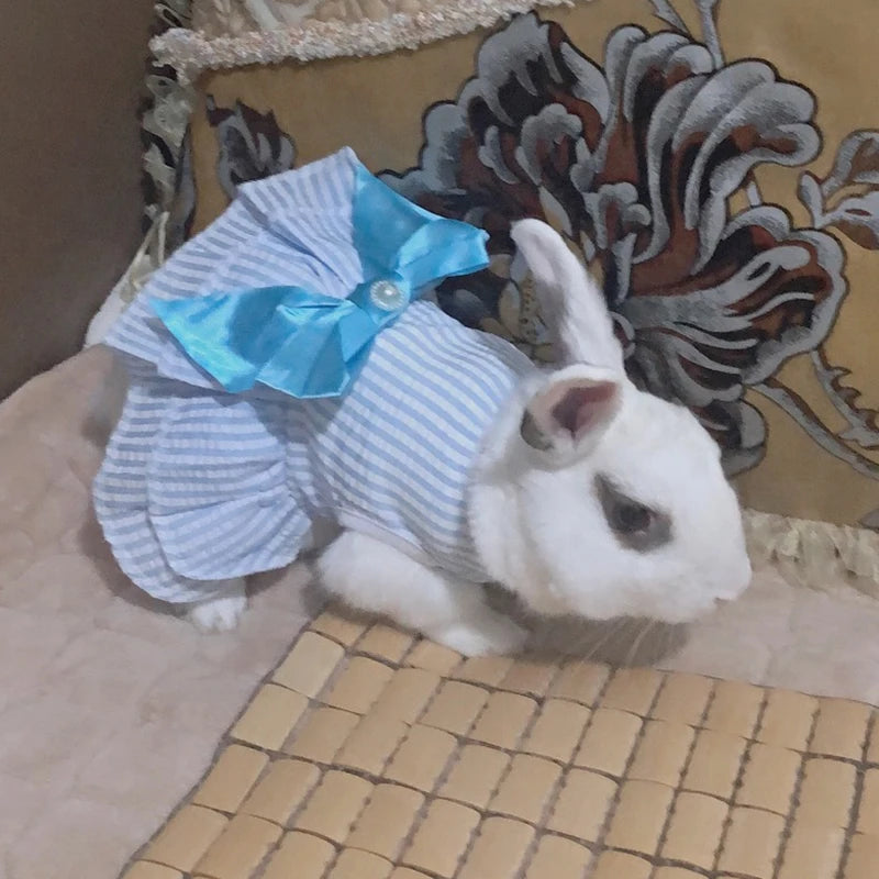 Pet Clothes - Multi variant Cat Dresses