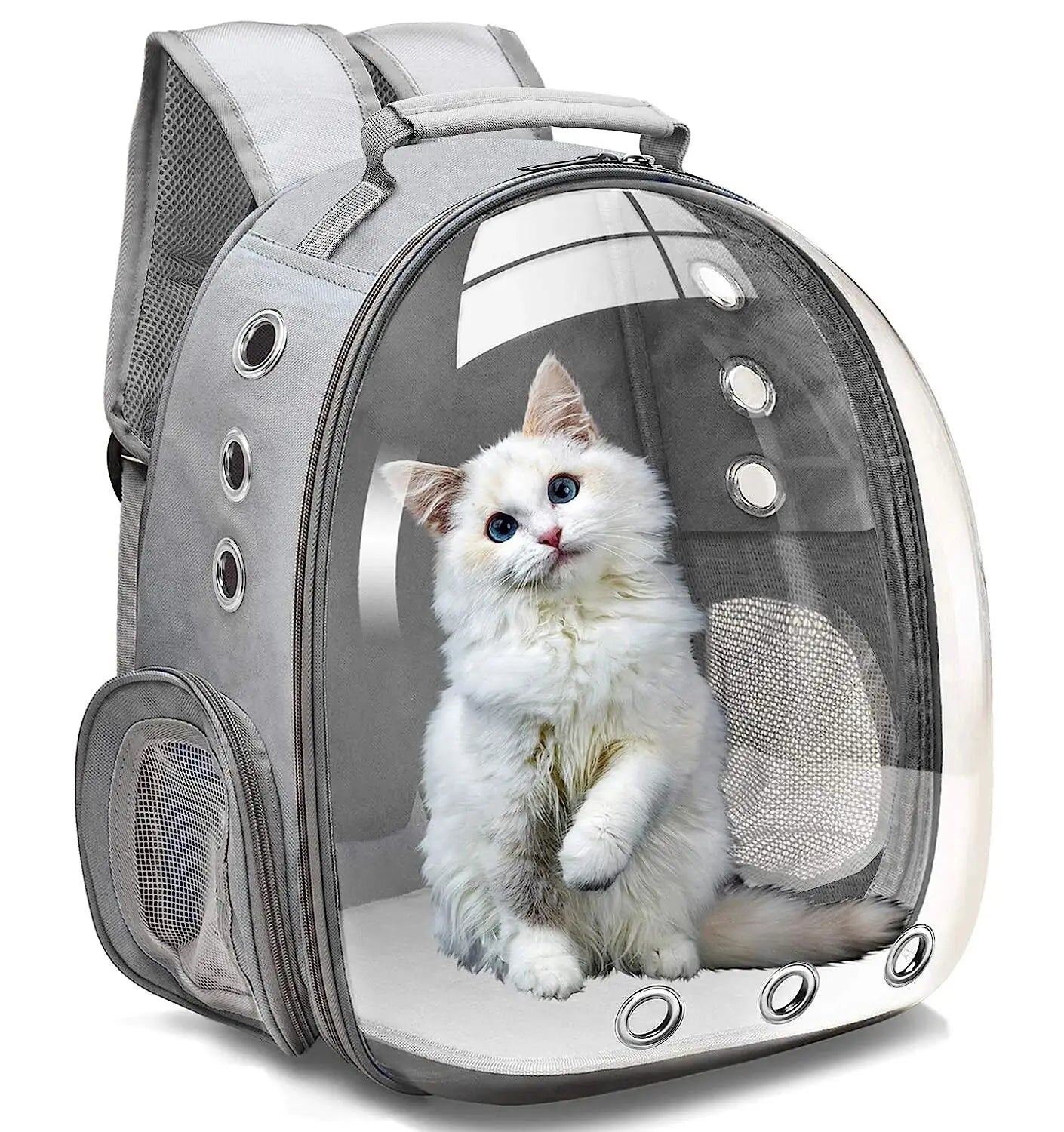 Bubble View Cat Backpack – Breathable Travel Carrier