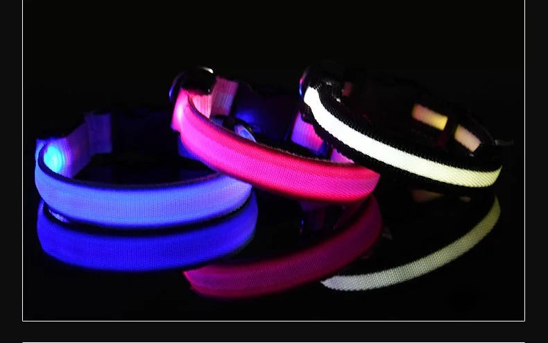 Dog Collar - LED Night Safety Collar