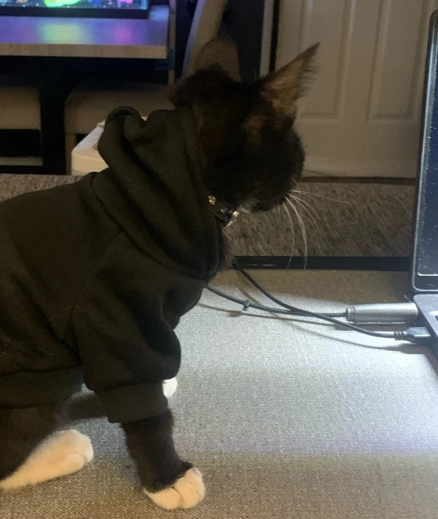 Cat Hoodie - The Cat Face
