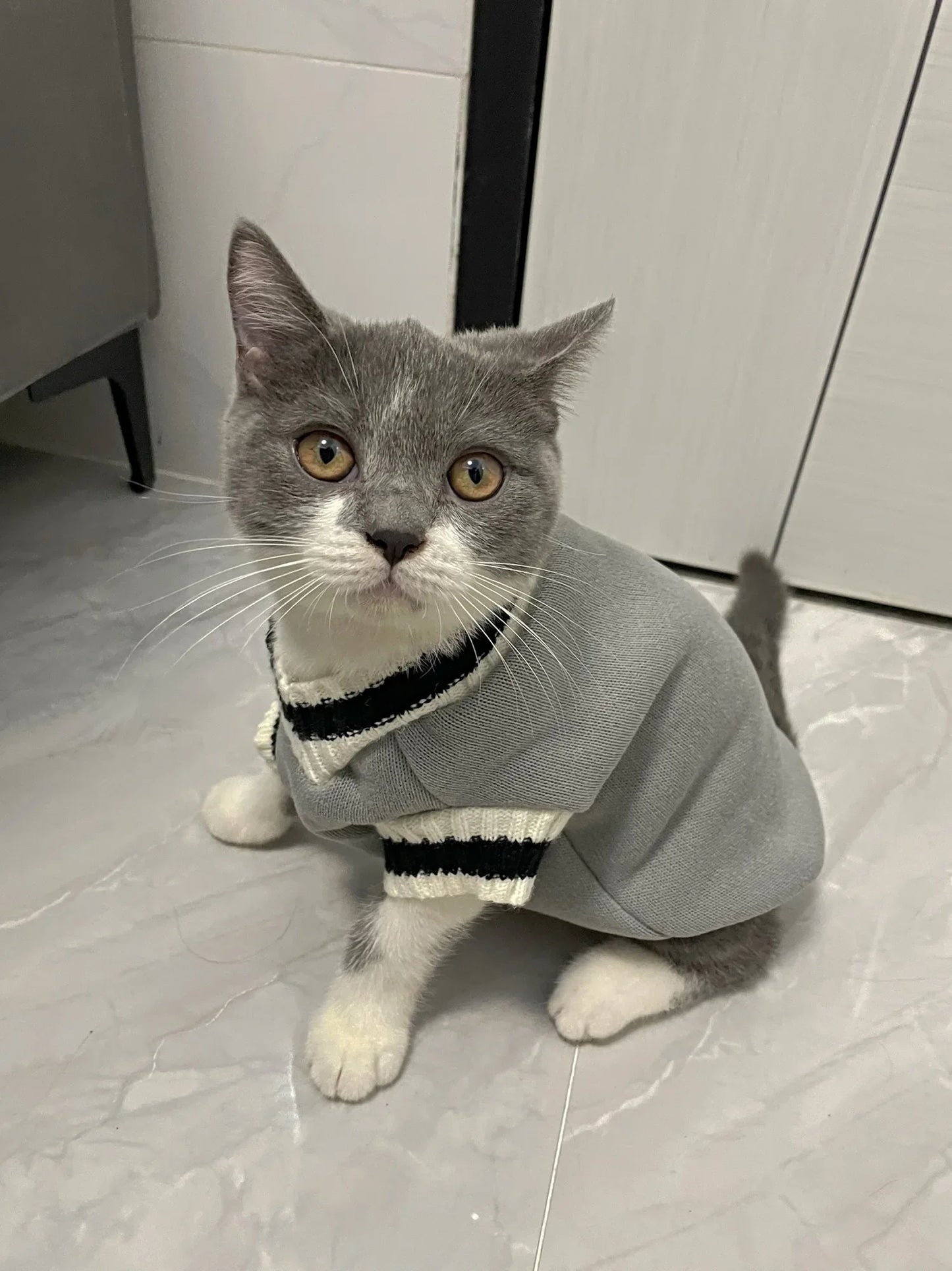Preppy Knit Cat Sweater – Soft Pullover in 3 Colours