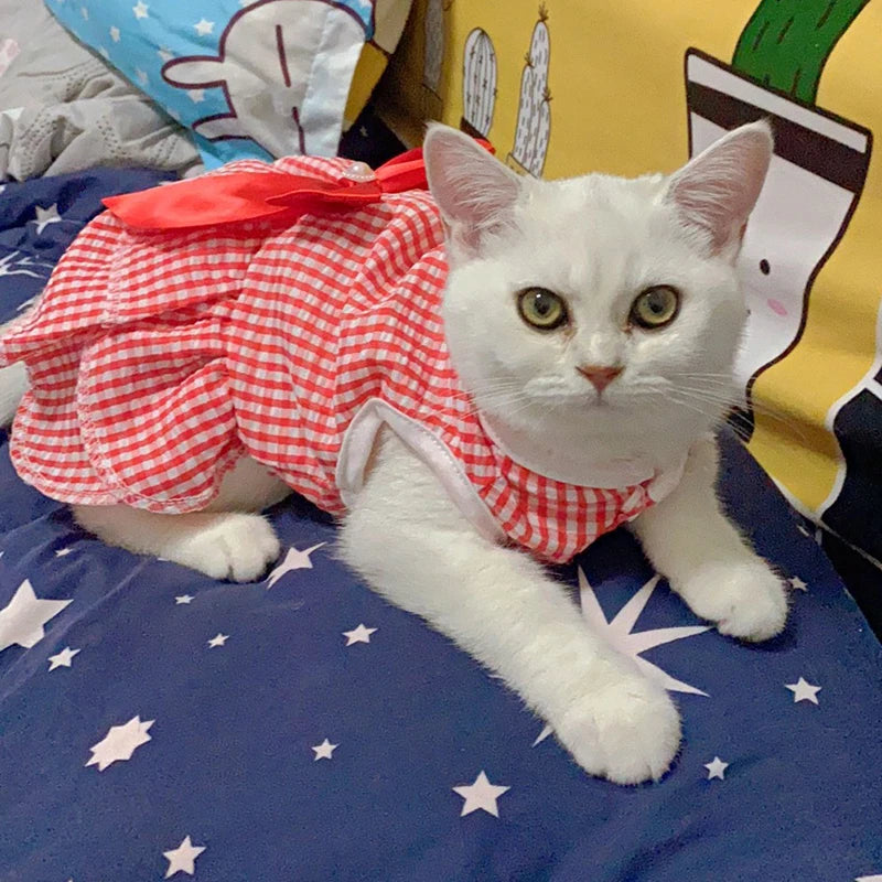 Pet Clothes - Multi variant Cat Dresses