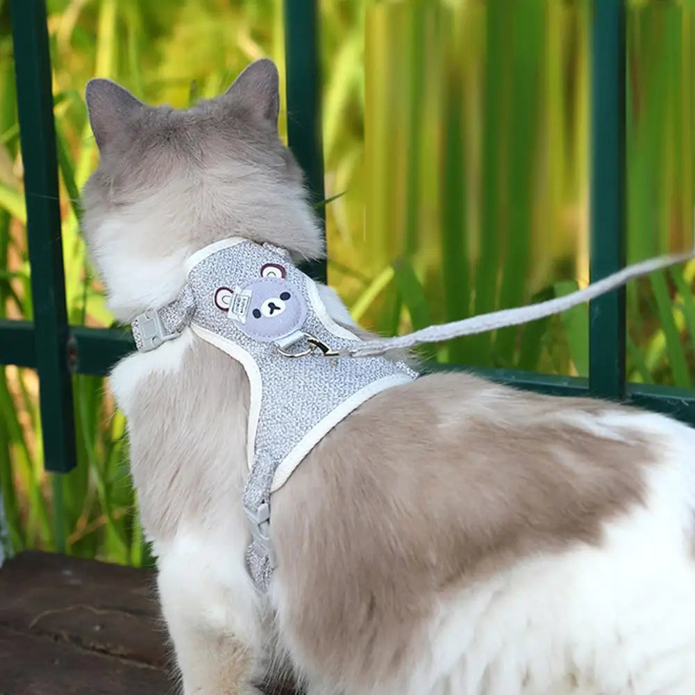 Teddy Bear Cat Harness & Leash Set