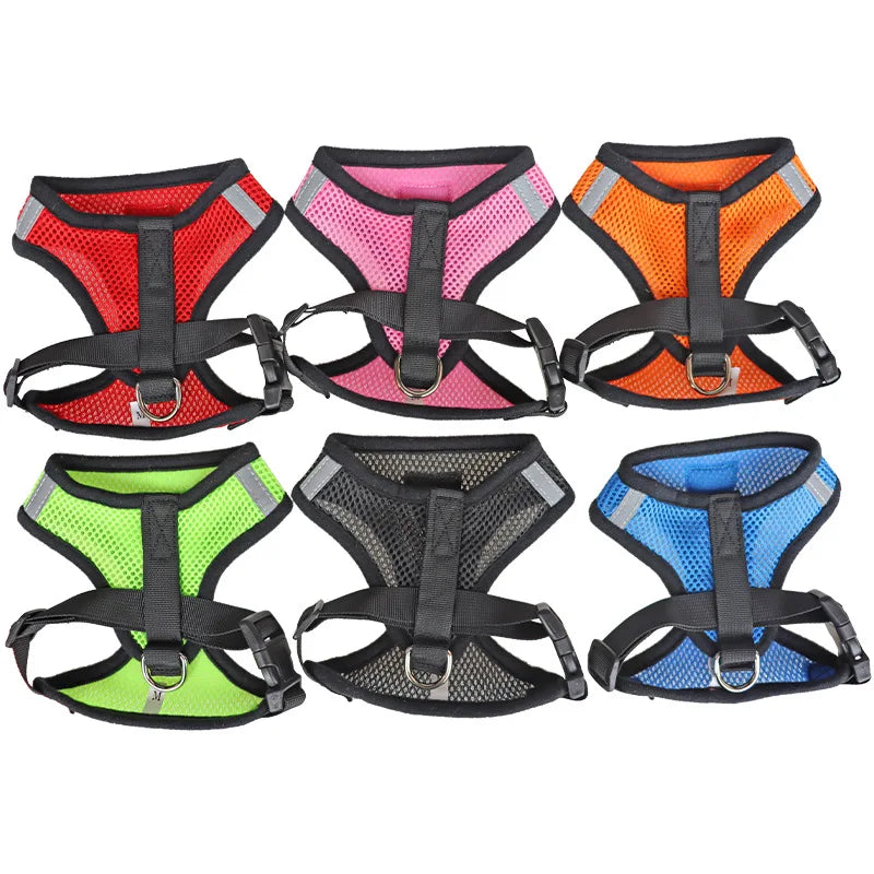 Breathable Cat Harness & Leash Set – S to XL