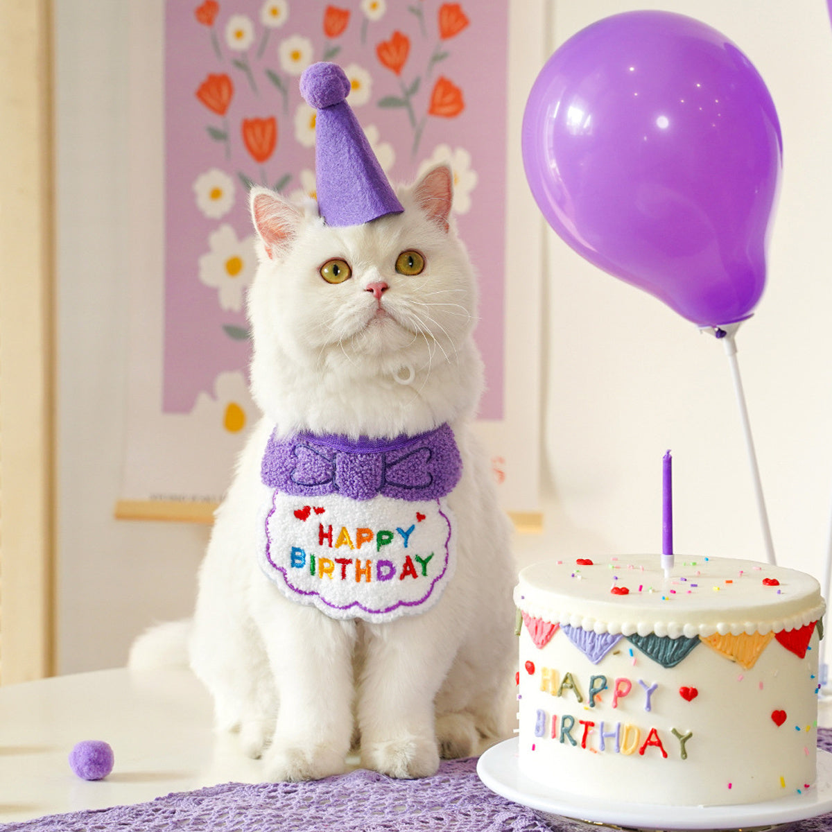 Cat Birthday Outfit – Party Hat & “Happy Birthday” Bib Set