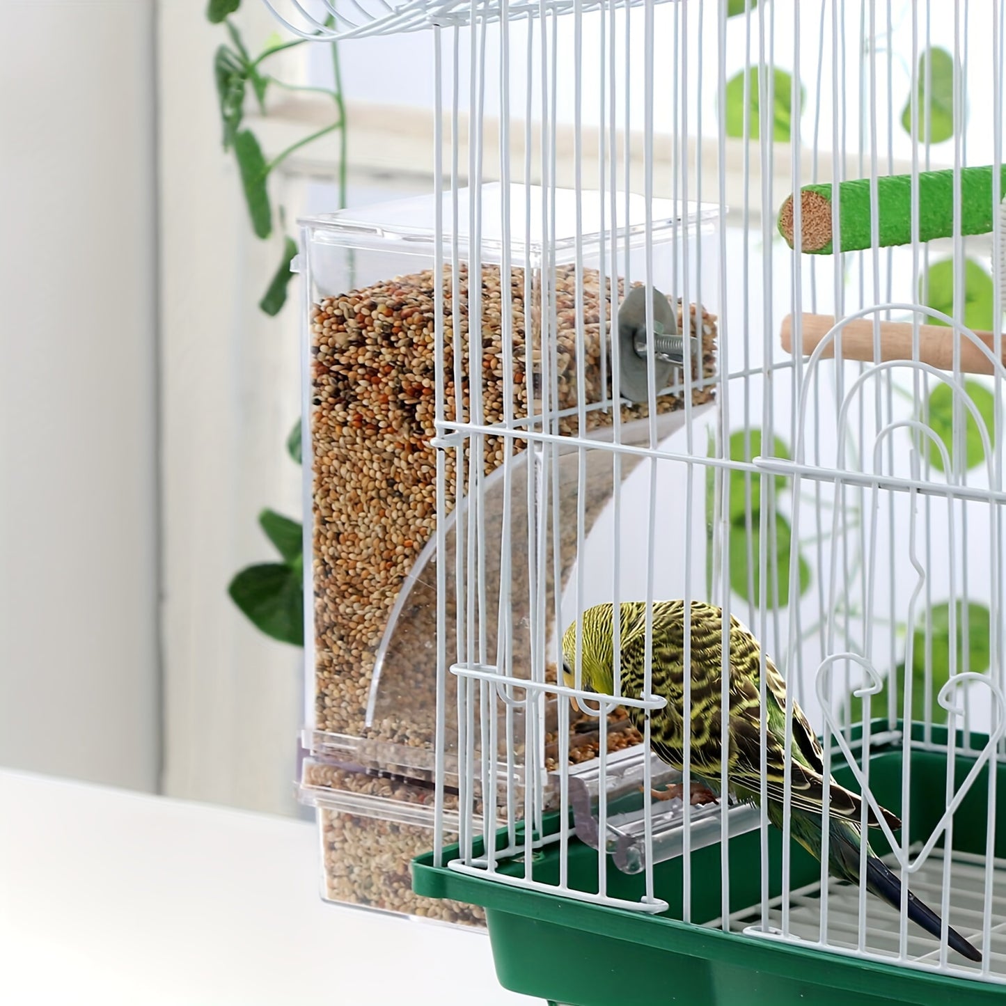 Clear Acrylic Bird Feeder for Small and Medium Birds