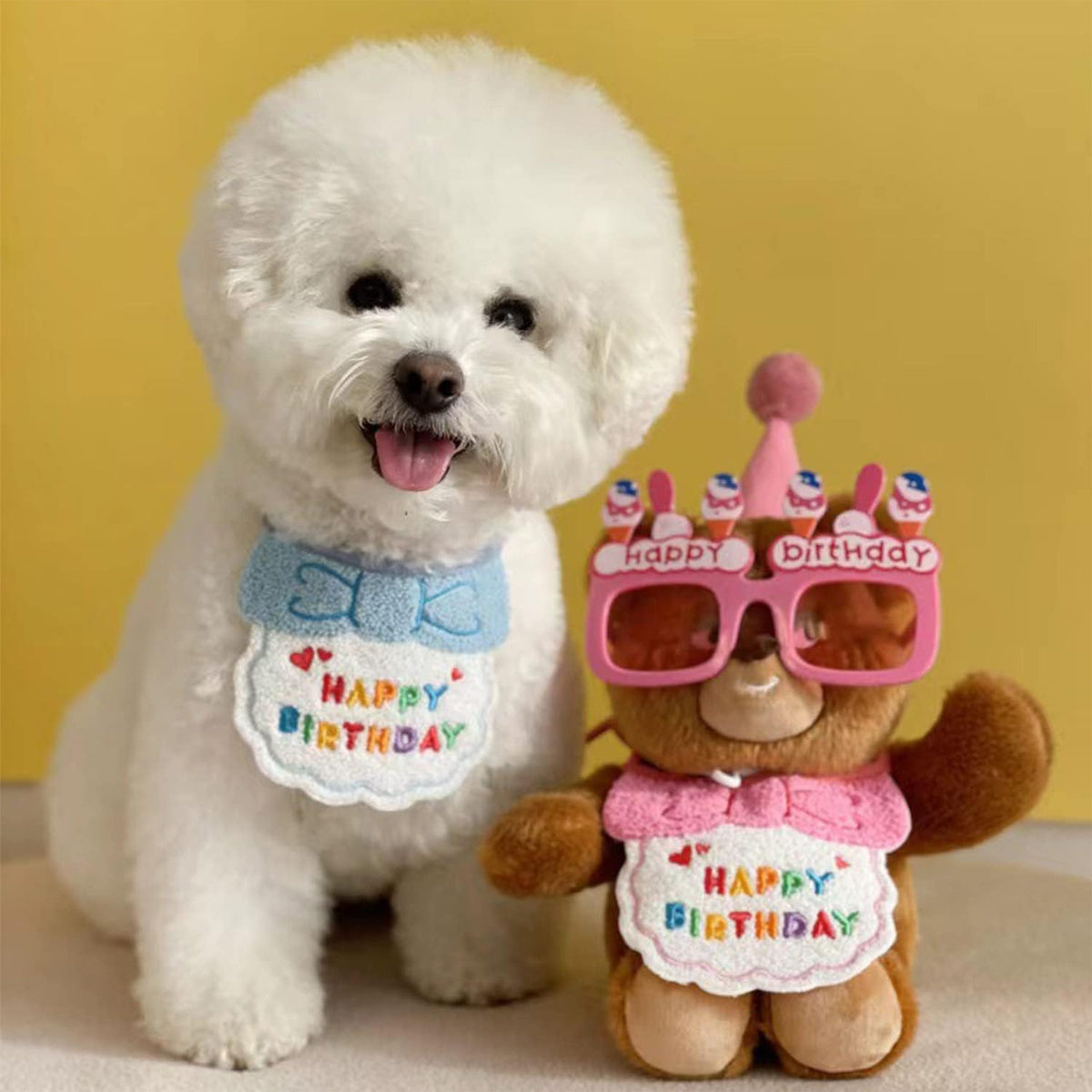 Cat Birthday Outfit – Party Hat & “Happy Birthday” Bib Set