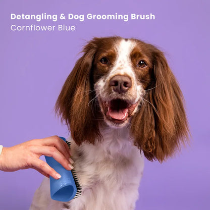 Pet Teezer Deshedding Brush (Small)
