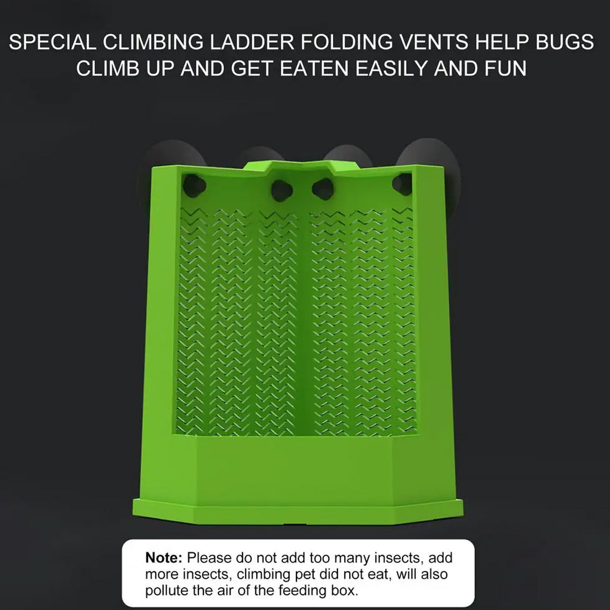 Green Reptile Feeding Station with Anti-Escape Design