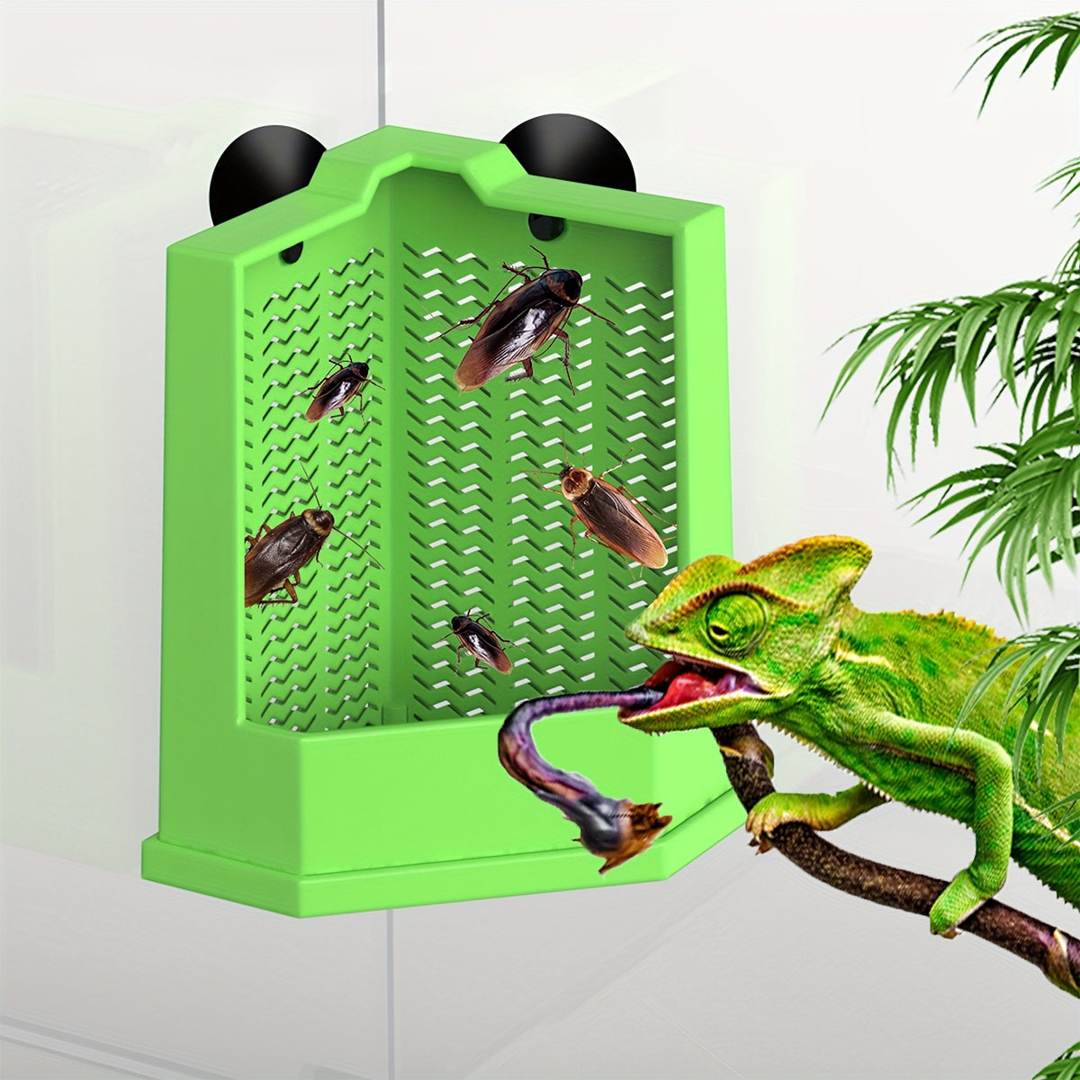 Green Reptile Feeding Station with Anti-Escape Design