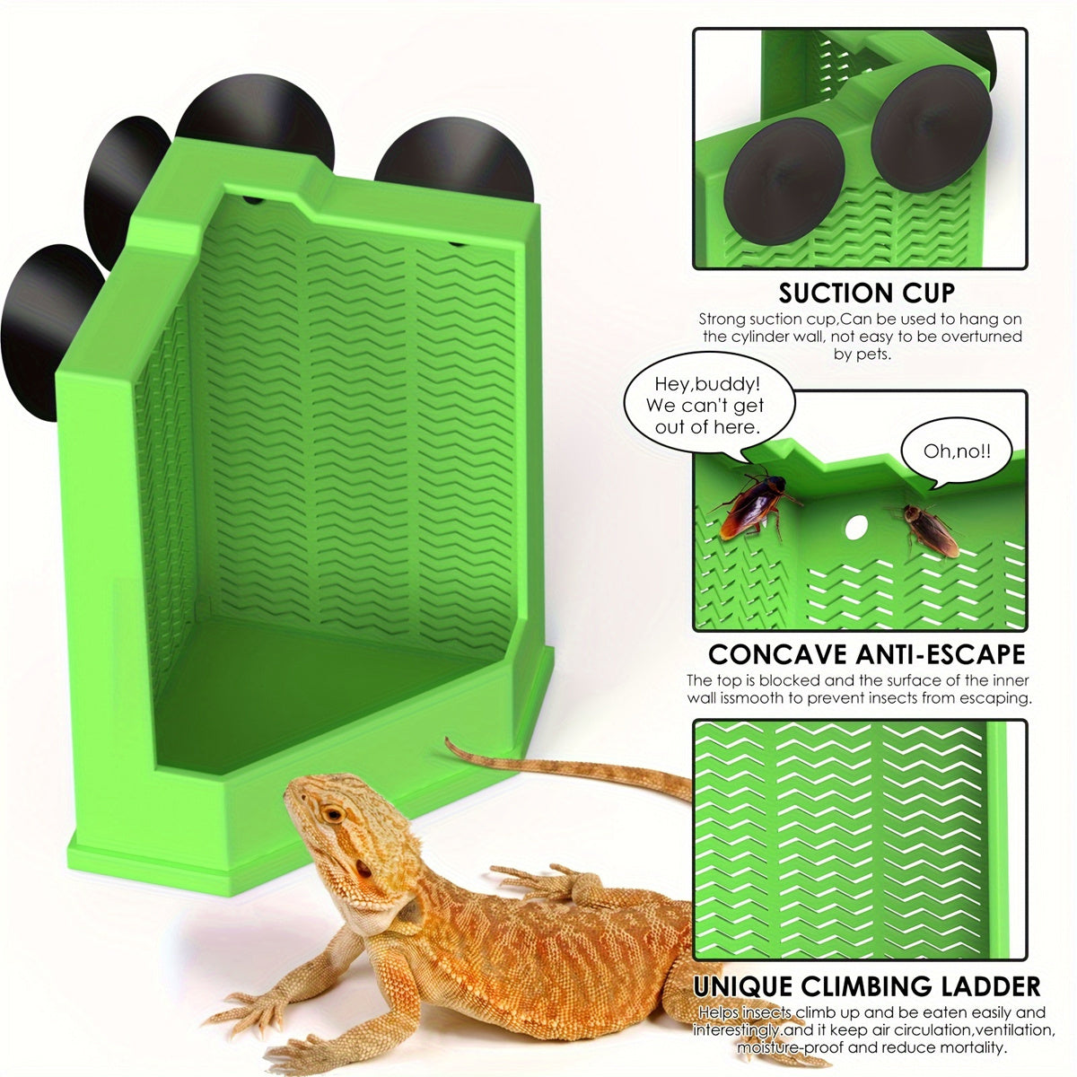 Green Reptile Feeding Station with Anti-Escape Design
