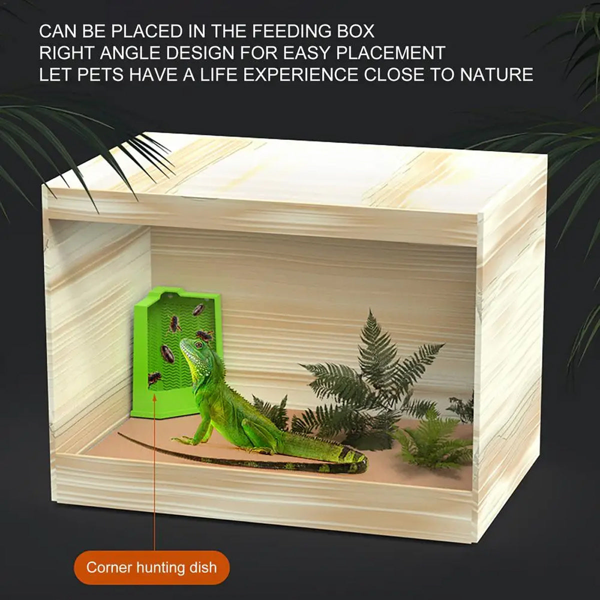 Green Reptile Feeding Station with Anti-Escape Design