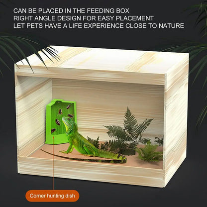 Green Reptile Feeding Station with Anti-Escape Design