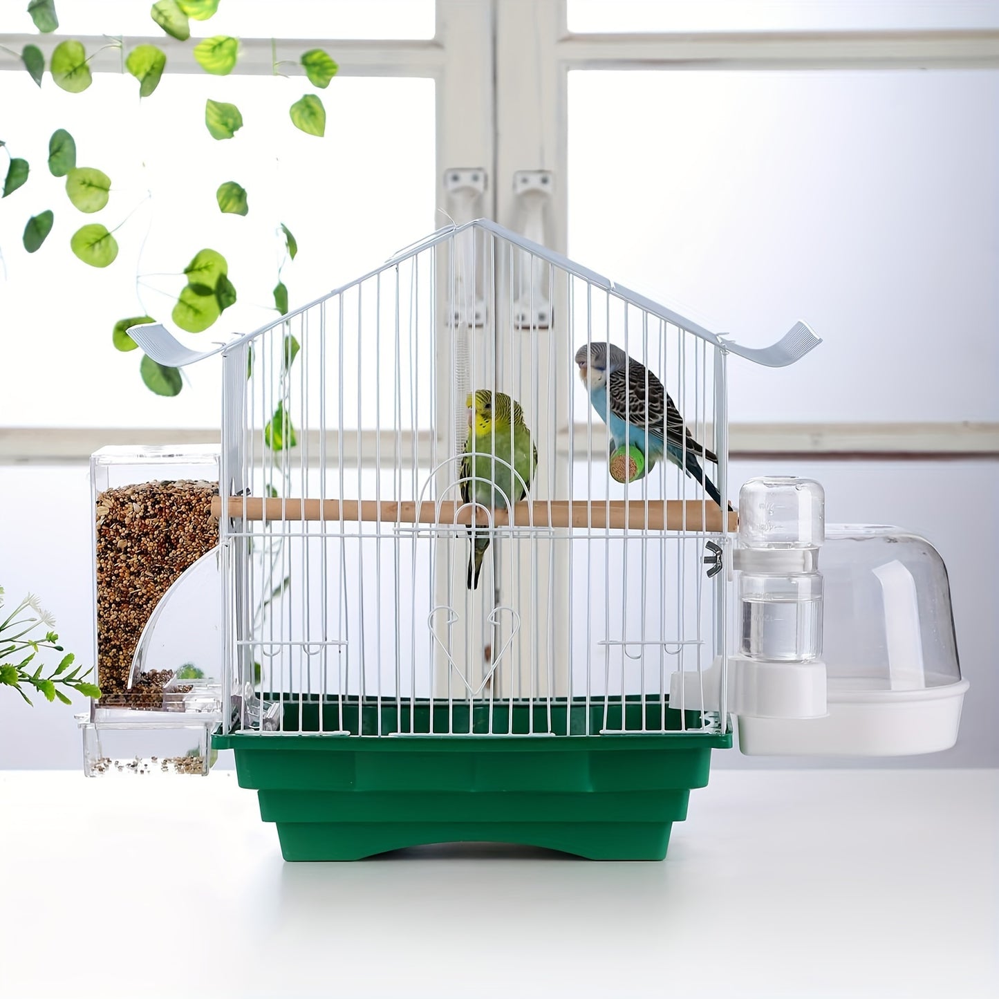 Clear Acrylic Bird Feeder for Small and Medium Birds