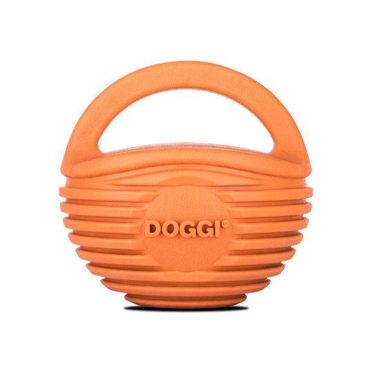 Doggi Catch & Carry Ball Dog Toy
