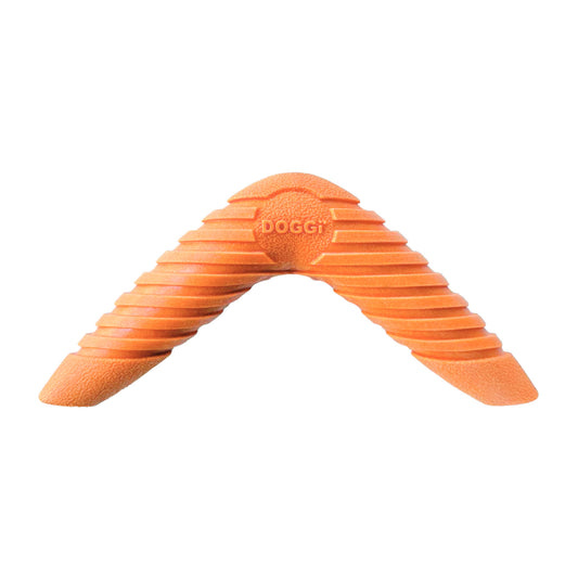 Doggi Catch & Carry Boomerang