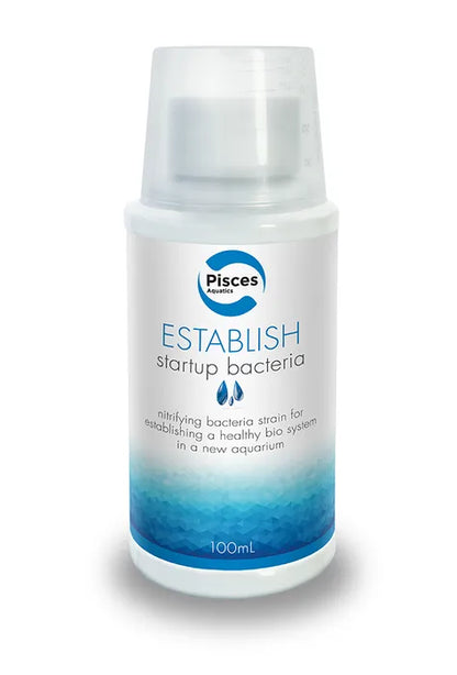 Establish Water Conditioner