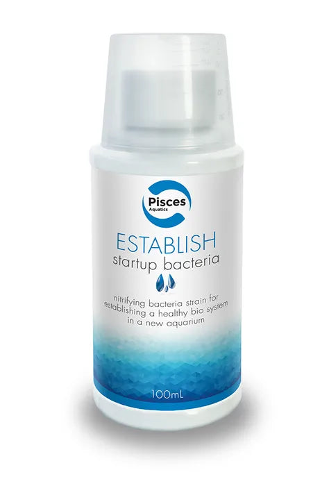 Establish Water Conditioner