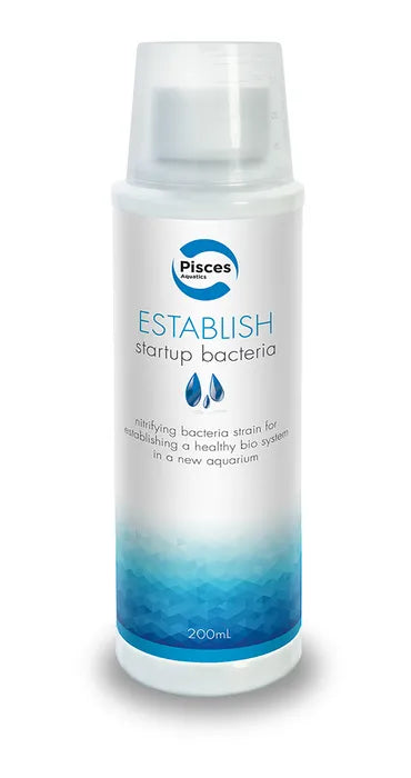 Establish Water Conditioner