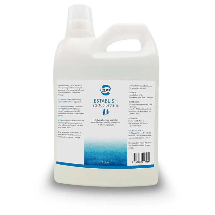 Establish Water Conditioner