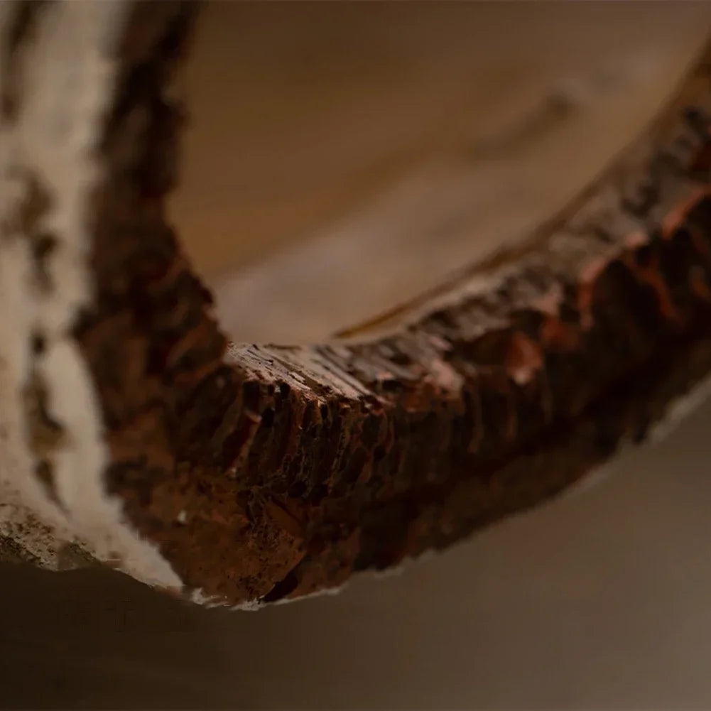 Betula Hide Cave – Realistic Birch Log Reptile Shelter