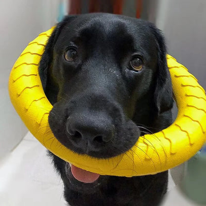 Tenslon Ring Dog Toy – Indestructible Flying & Chew Ring