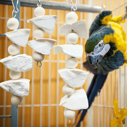 Natural Calcium Chew Toy for Birds