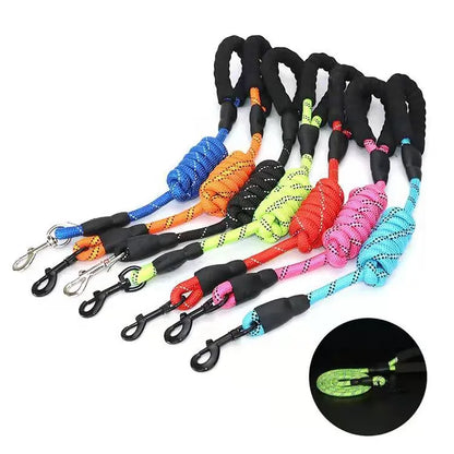 Heavy-Duty Reflective Dog Leash with Padded Handle