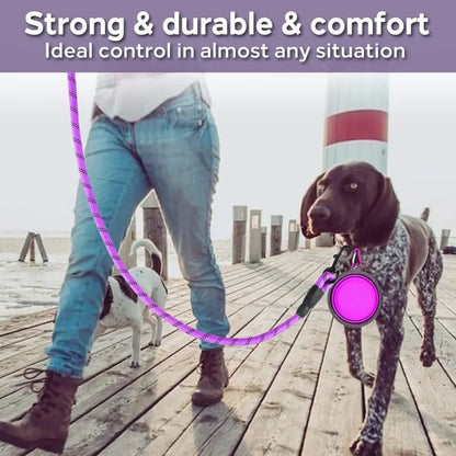 Heavy-Duty Reflective Dog Leash with Padded Handle